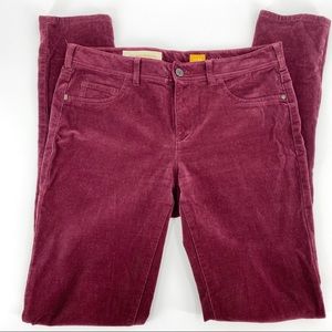 Pilcro & the Letterpress burgundy corduroy jeans